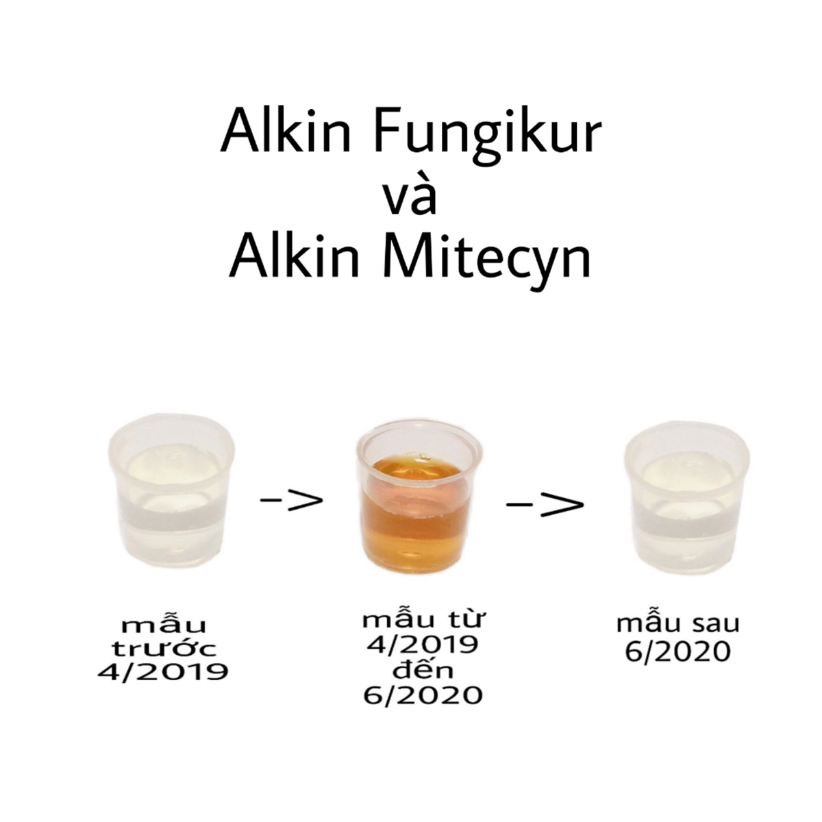 Thông báo về sự thay đổi mầu sắc nước xịt của thuốc FUNGIKUR & MITECYN