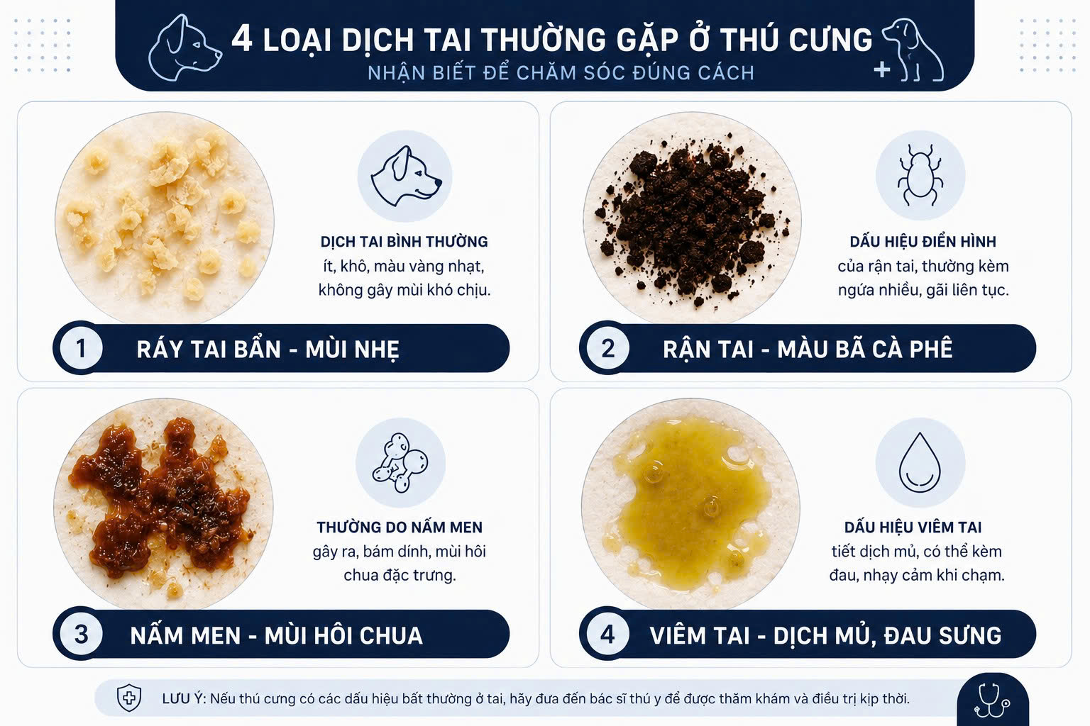 Bảng phân biệt các nguyên nhân gây hôi tai ở chó mèo qua màu sắc dịch tiết, mùi hương và triệu chứng đi kèm