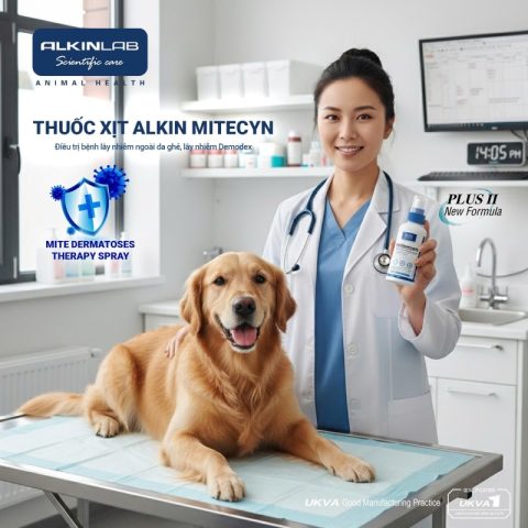 Thuốc xịt trị ghẻ chó mèo Alkin Mitecyn giúp tiêu diệt ghẻ Sarcoptes và Demodex từ sâu trong nang lông.