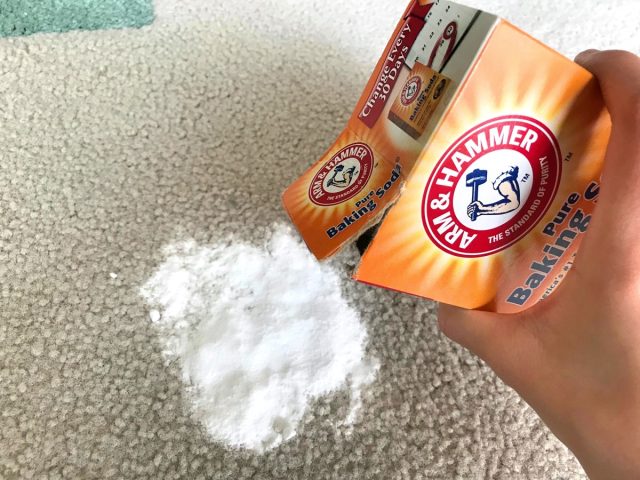 Rắc baking soda hút ẩm lên bãi nước tiểu mới của chó trên sàn nhà.