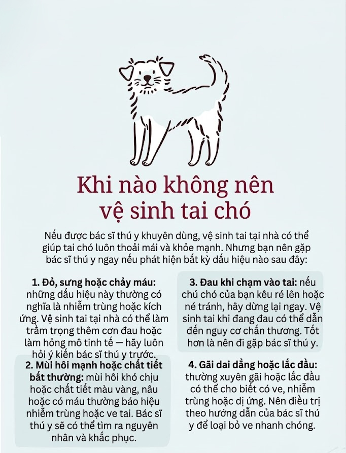 Hướng dẫn vệ sinh tai chó mèo đúng cách
