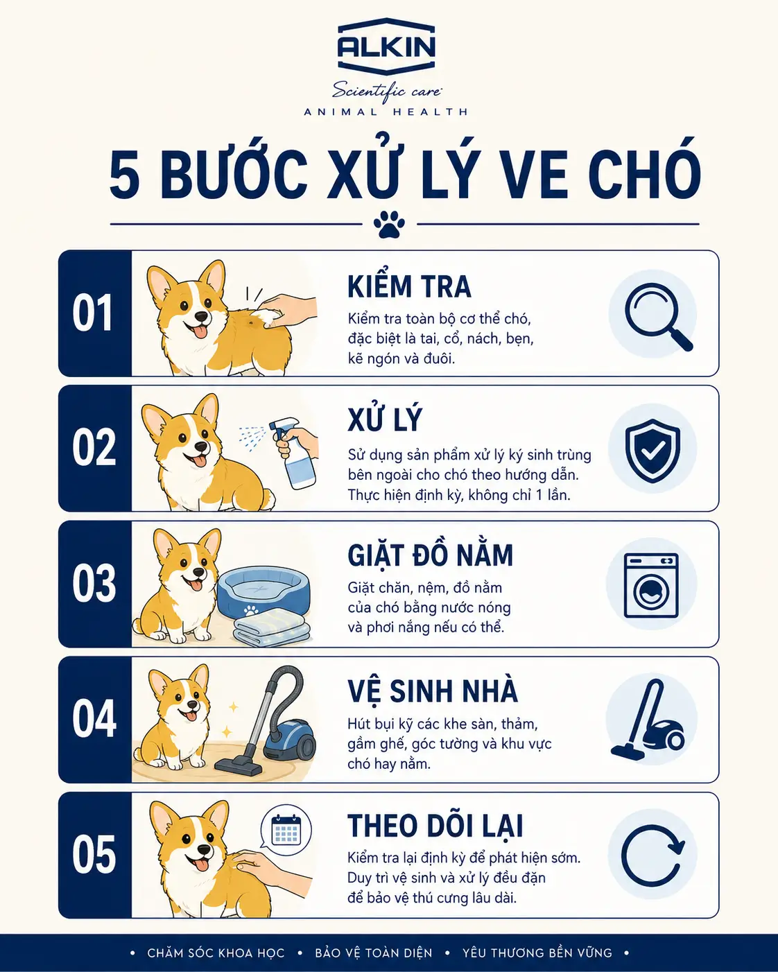 Quy trình năm bước xử lý ve chó từ cơ thể đến môi trường.