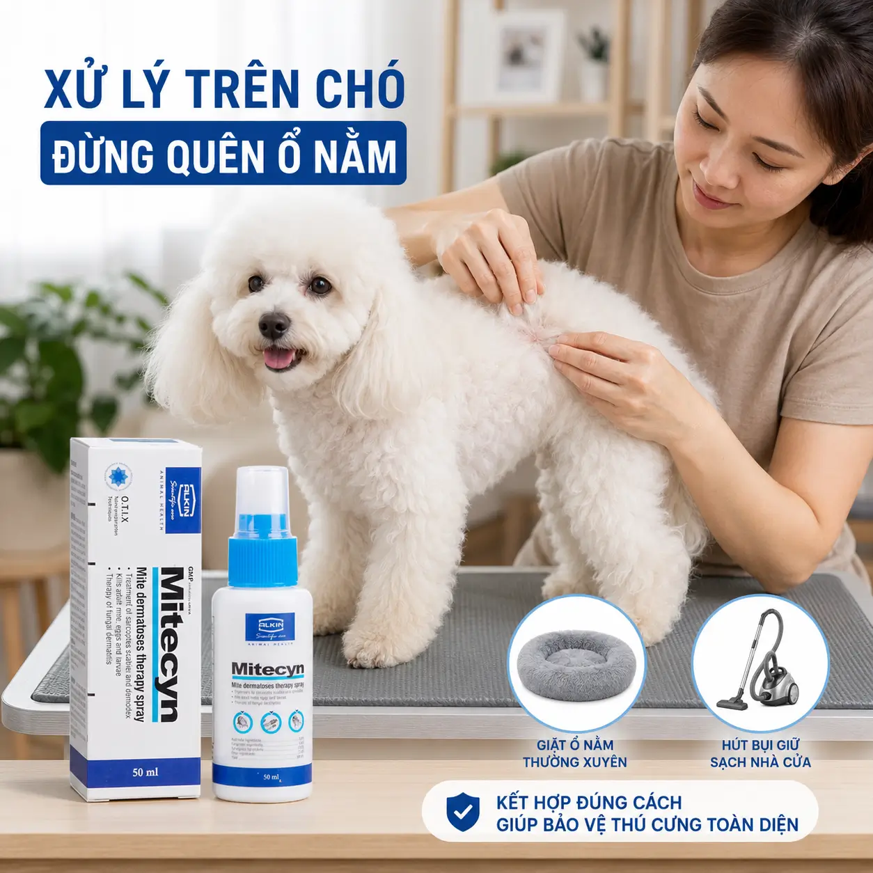 Alkin Mitecyn được đặt trong quy trình xử lý ve kết hợp vệ sinh môi trường.
