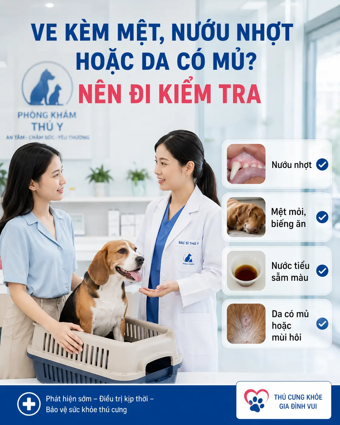 Chó bị ve kèm dấu hiệu bất thường được đưa đến phòng khám thú y.