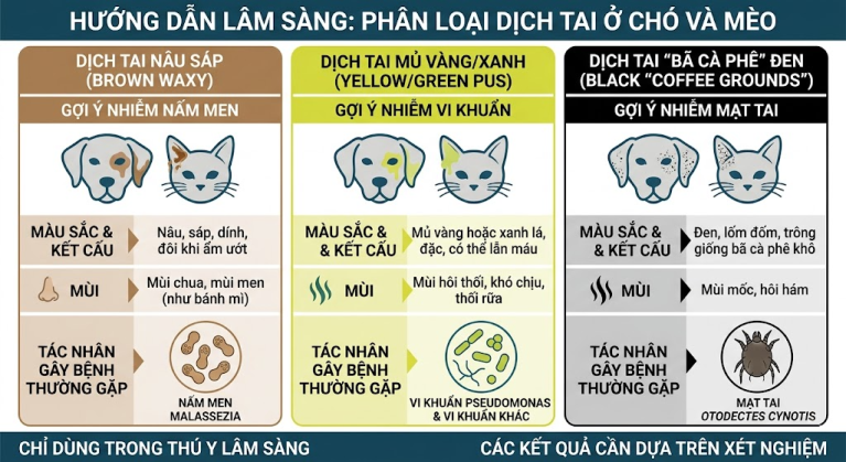 Bảng phân loại mầm bệnh viêm tai chó mèo qua màu sắc và mùi ráy tai.