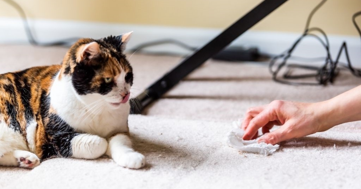 So sánh xịt khử mùi và mẹo dân gian