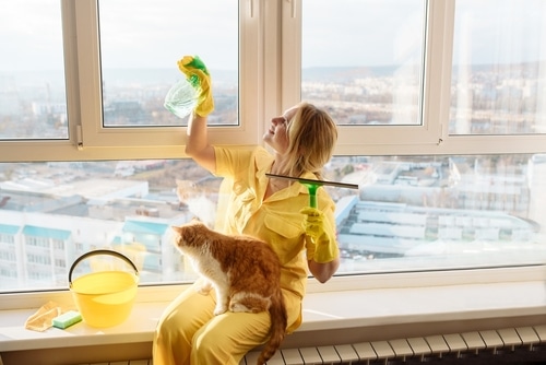 Mở cửa sổ thông gió kết hợp xịt khử khuẩn sinh học cho phòng khách nuôi chó mèo.