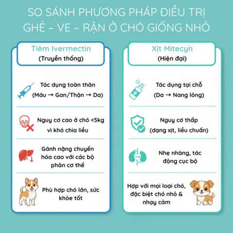 Bảng tóm tắt chỉ định lâm sàng giữa tiêm Ivermectin và xịt Mitecyn trị ký sinh trùng cho chó