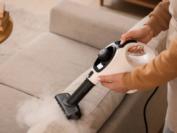 Vệ sinh ổ nằm và dụng cụ khi chó mèo bị nấm da
