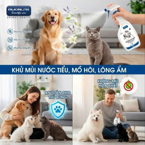 Sử dụng bình xịt dung dịch khử khuẩn Alkin Deodorizing Spray để vệ sinh, khử mùi, diệt khuẩn chó mèo.