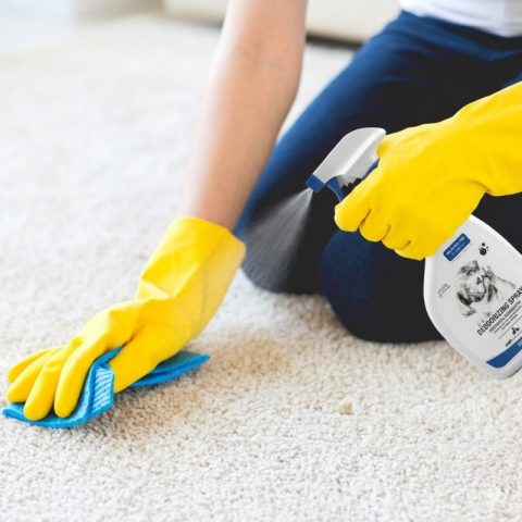 Sử dụng xịt khử mùi thú y chuyên dụng để phân hủy mùi nước tiểu chó.