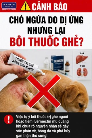 Cảnh báo y khoa về rủi ro tử vong khi tự ý dùng thuốc bôi ghẻ của người hoặc tiêm ghẻ mù quáng cho chó đang bị ngứa.