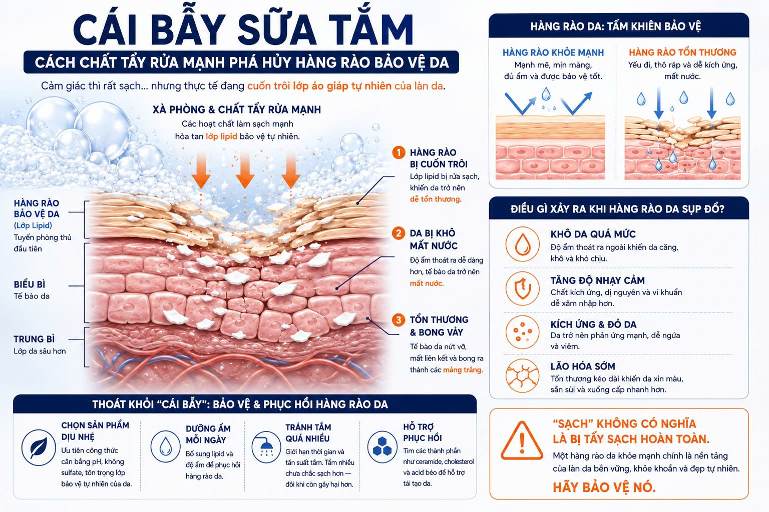 Sơ đồ y khoa mô tả quá trình lạm dụng sữa tắm tẩy rửa mạnh làm tổn thương lớp màng lipid bảo vệ, khiến da chó mèo khô rít và bong tróc vảy.