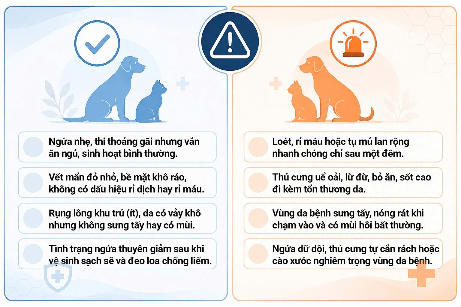 Bảng phân loại các dấu hiệu viêm da cần theo dõi tại nhà và các triệu chứng cần cấp cứu thú y.