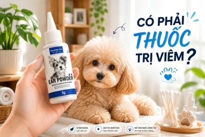 Ảnh đại diện giải đáp thắc mắc bột nhổ lông tai chó mèo dùng để làm gì và có phải là thuốc trị viêm tai không.