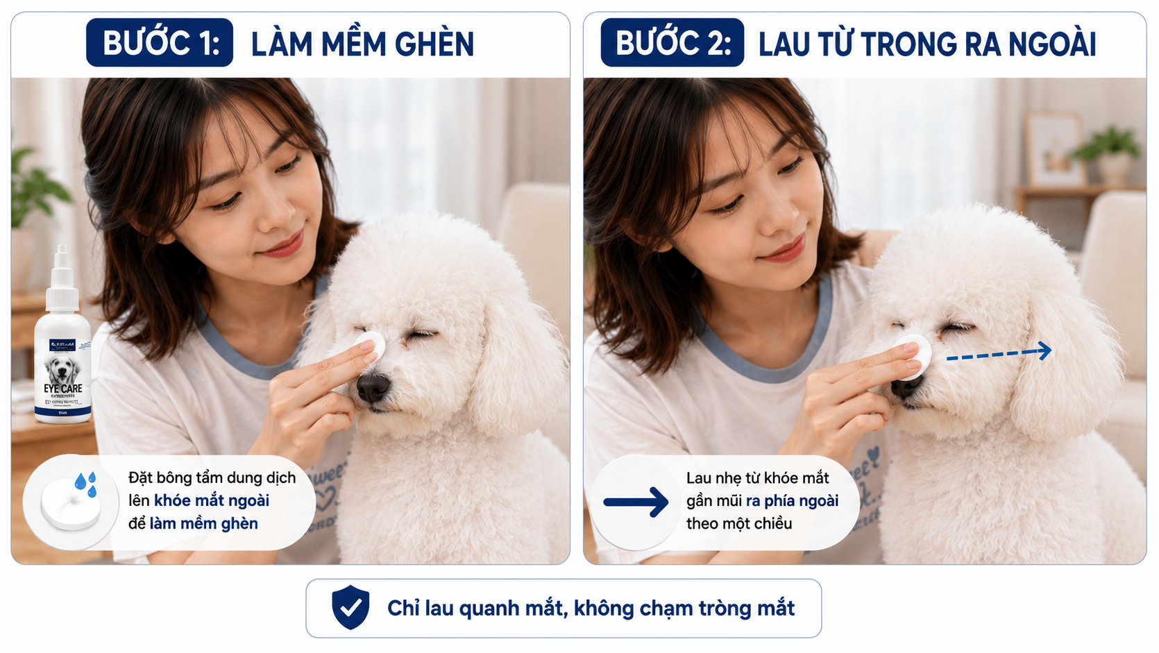 Thao tác làm mềm ghèn mắt và lau quanh mắt từ trong ra ngoài cho chó Poodle trắng.