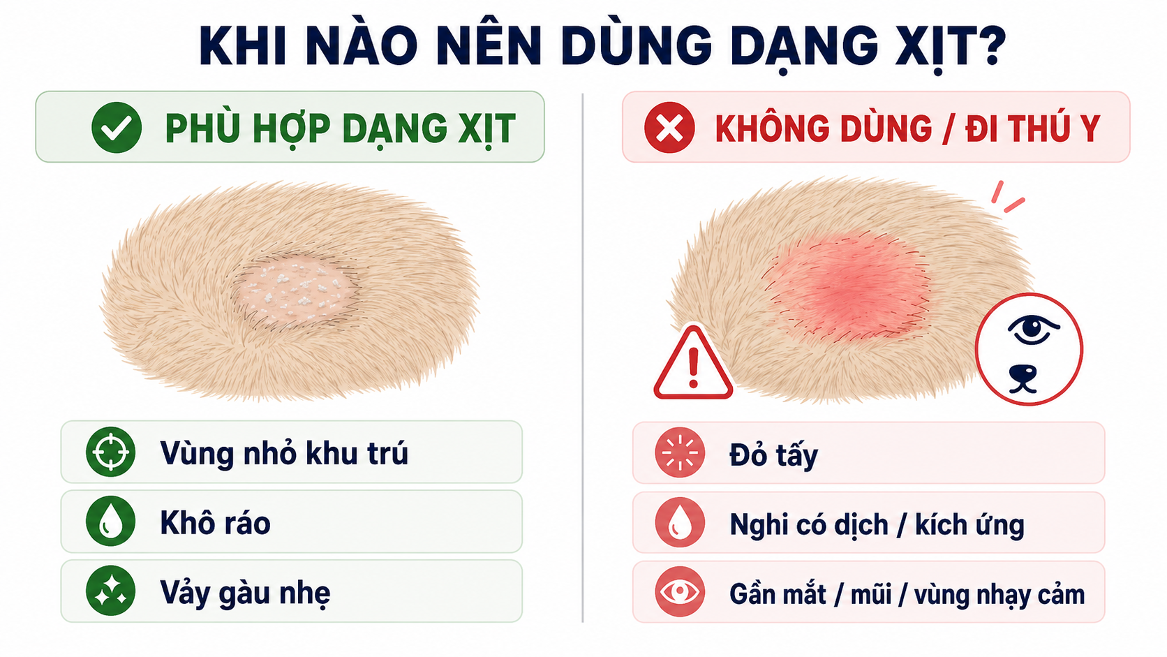 Phân biệt vùng da nghi nấm nhỏ, khô ráo có thể dùng dạng xịt và tổn thương cần đi thú y.