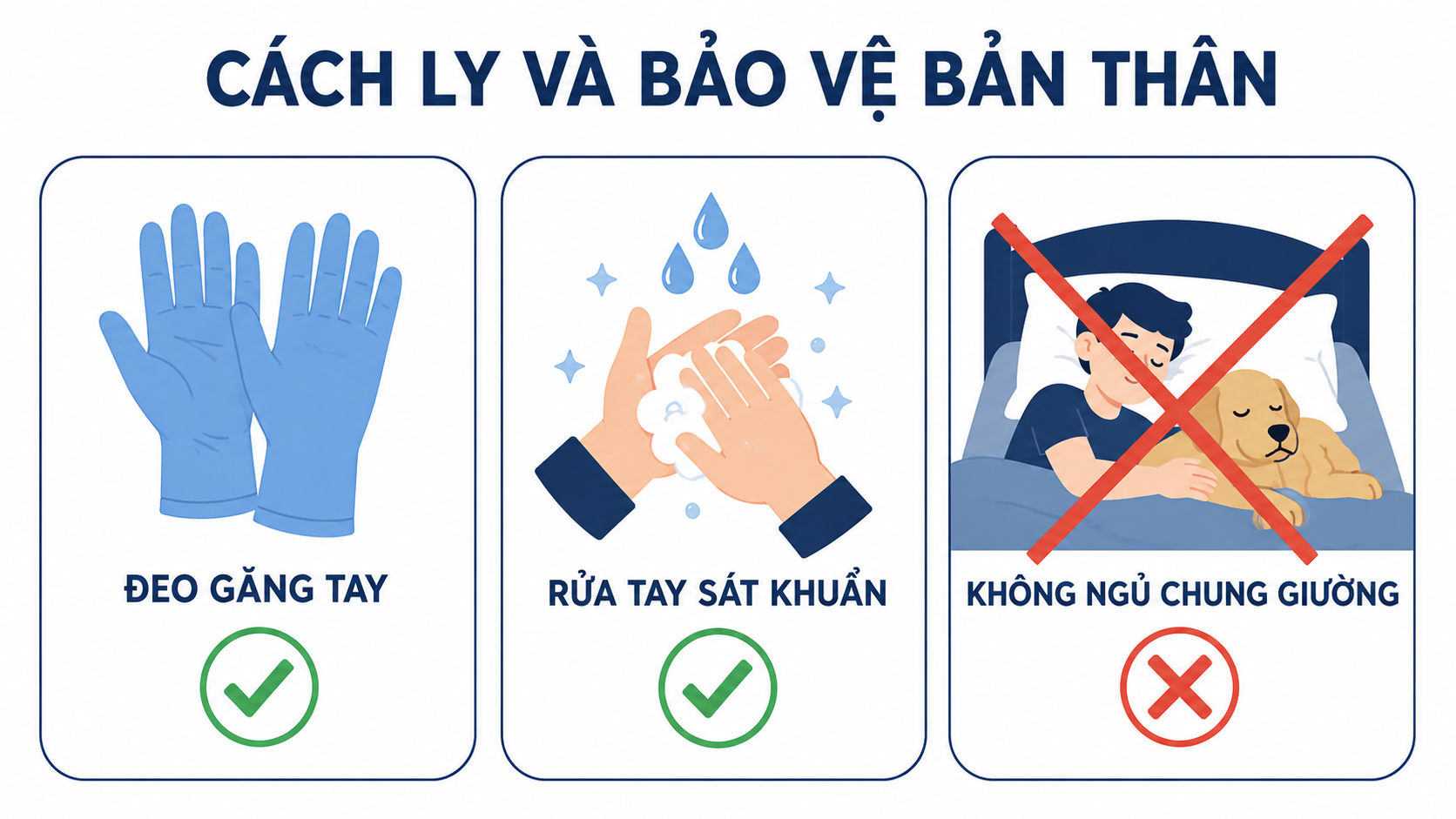 Các biện pháp an toàn như đeo găng tay và không ngủ chung khi chó có dấu hiệu nghi nấm da.