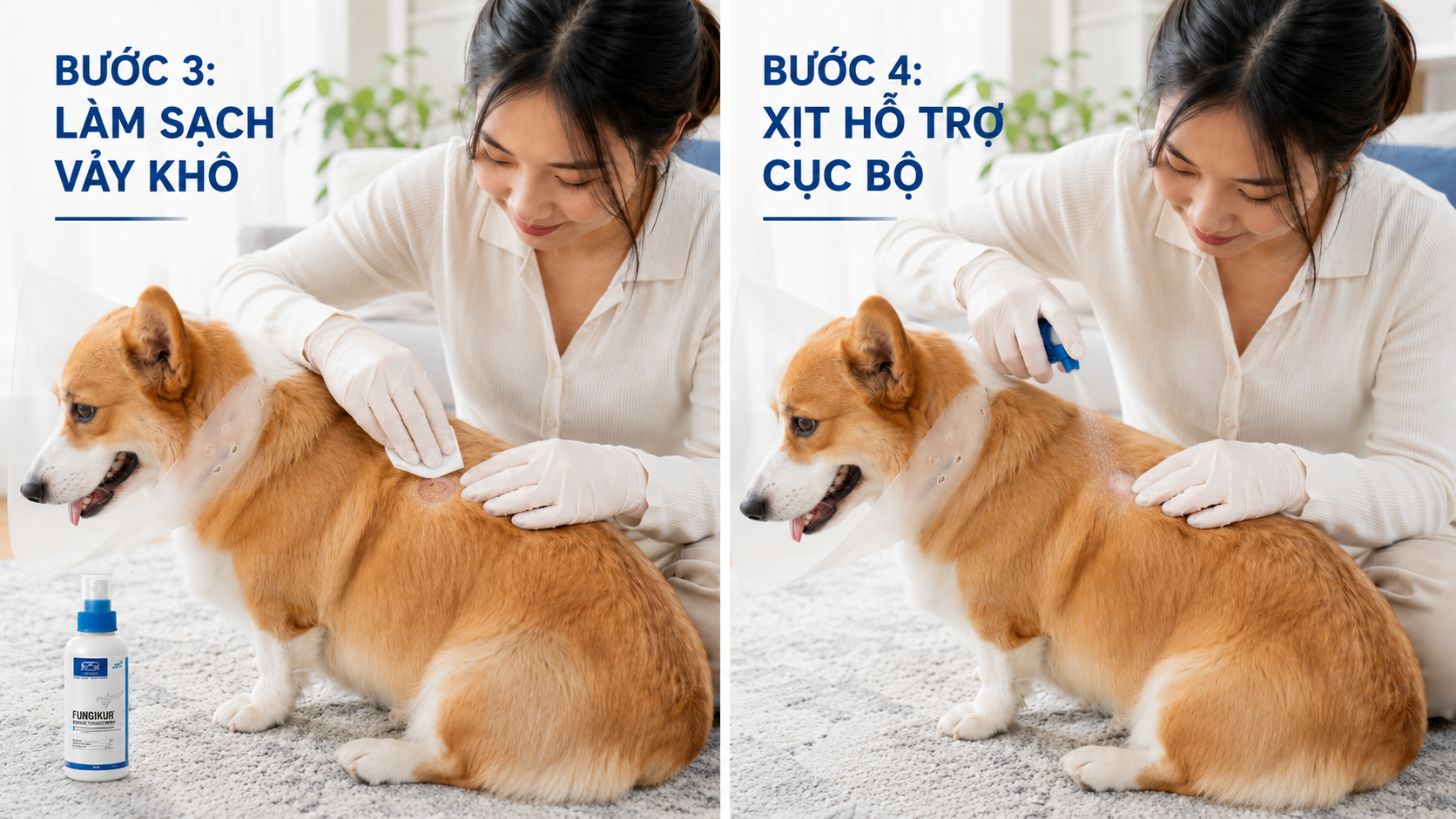 Thao tác làm sạch và xịt dung dịch hỗ trợ trực tiếp lên mảng nghi nấm nhỏ trên da chó.