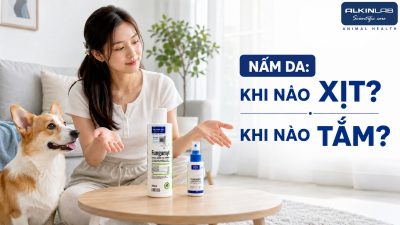 Chủ nuôi phân vân lựa chọn giữa chai xịt cục bộ và sữa tắm hỗ trợ khi chó có dấu hiệu rụng lông nghi nấm.