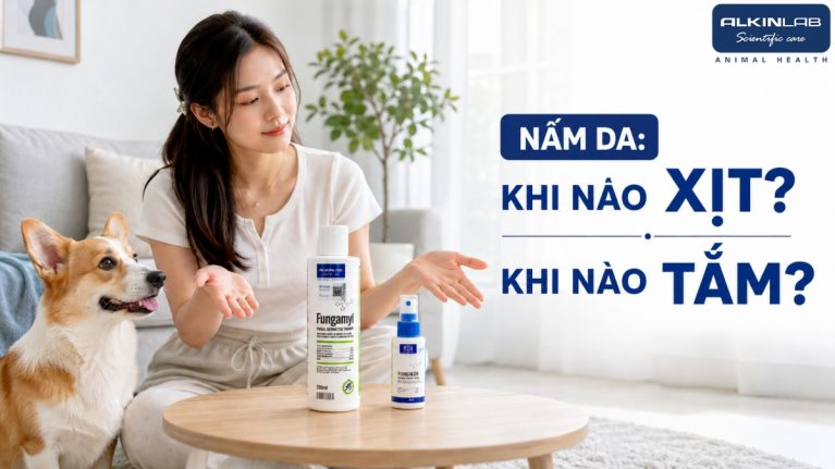 Chủ nuôi phân vân lựa chọn giữa chai xịt cục bộ và sữa tắm hỗ trợ khi chó có dấu hiệu rụng lông nghi nấm.