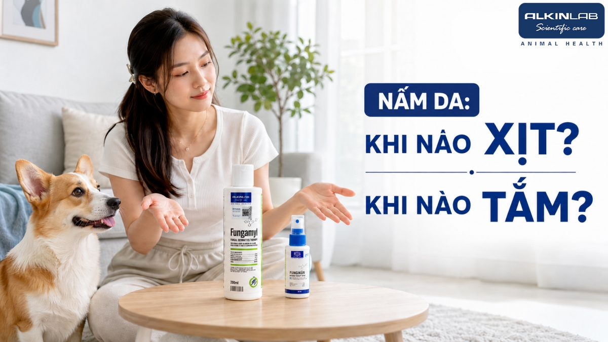 Chủ nuôi phân vân lựa chọn giữa chai xịt cục bộ và sữa tắm hỗ trợ khi chó có dấu hiệu rụng lông nghi nấm.