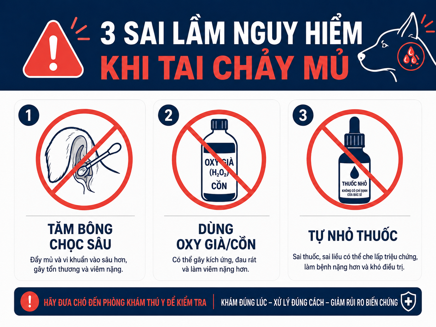 Đồ họa cảnh báo 3 sai lầm nguy hiểm gồm dùng tăm bông, oxy già và tự nhỏ thuốc khi chó bị chảy mủ tai.