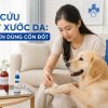 Chó bị xước da có nên bôi cồn đỏ không? Cách sơ cứu an toàn