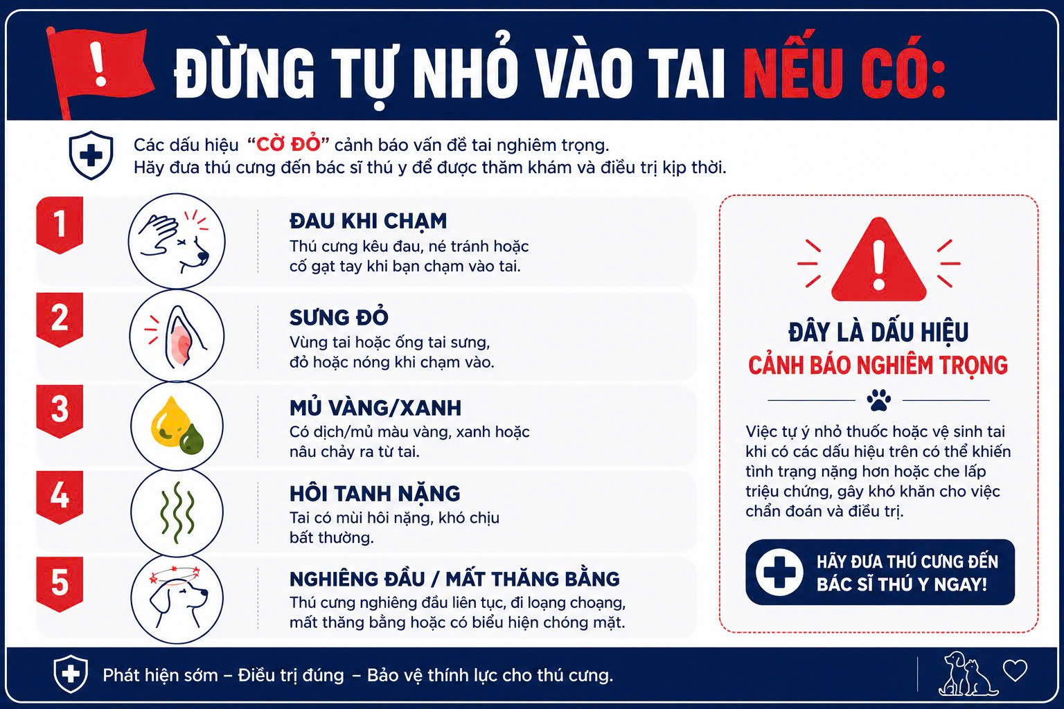 Checklist các dấu hiệu bất thường cảnh báo người nuôi không nên tự nhỏ dung dịch vào tai chó mèo.