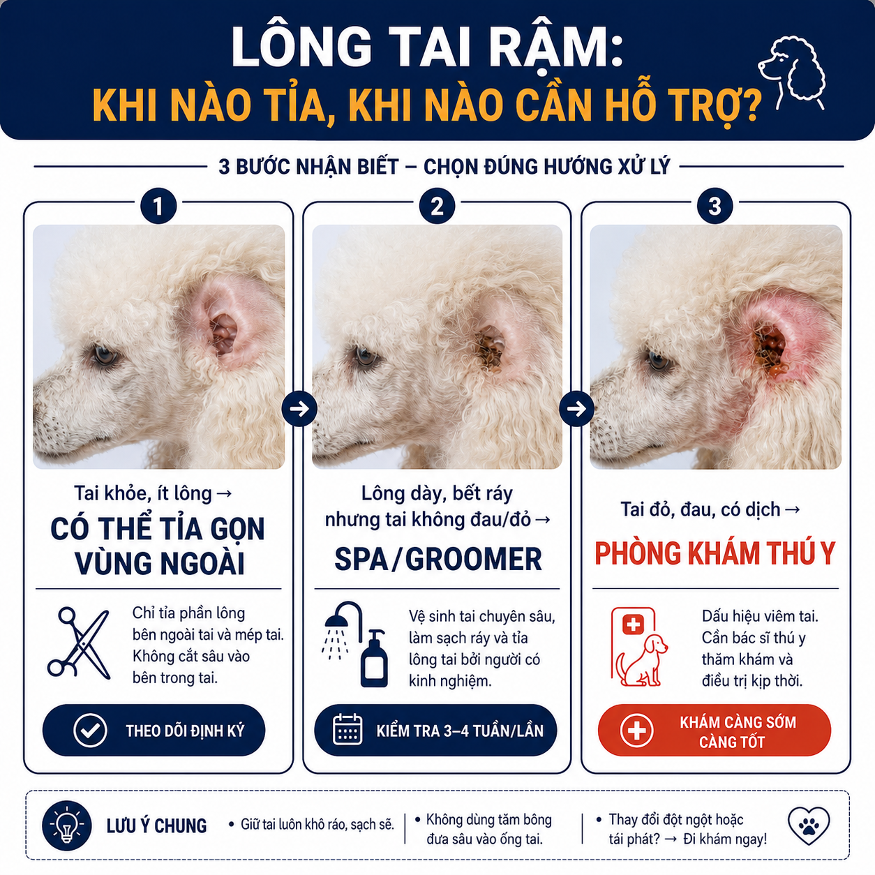 Sơ đồ quyết định phân luồng khi nào nên tự tỉa lông tai, ra spa grooming hay đến phòng khám thú y.