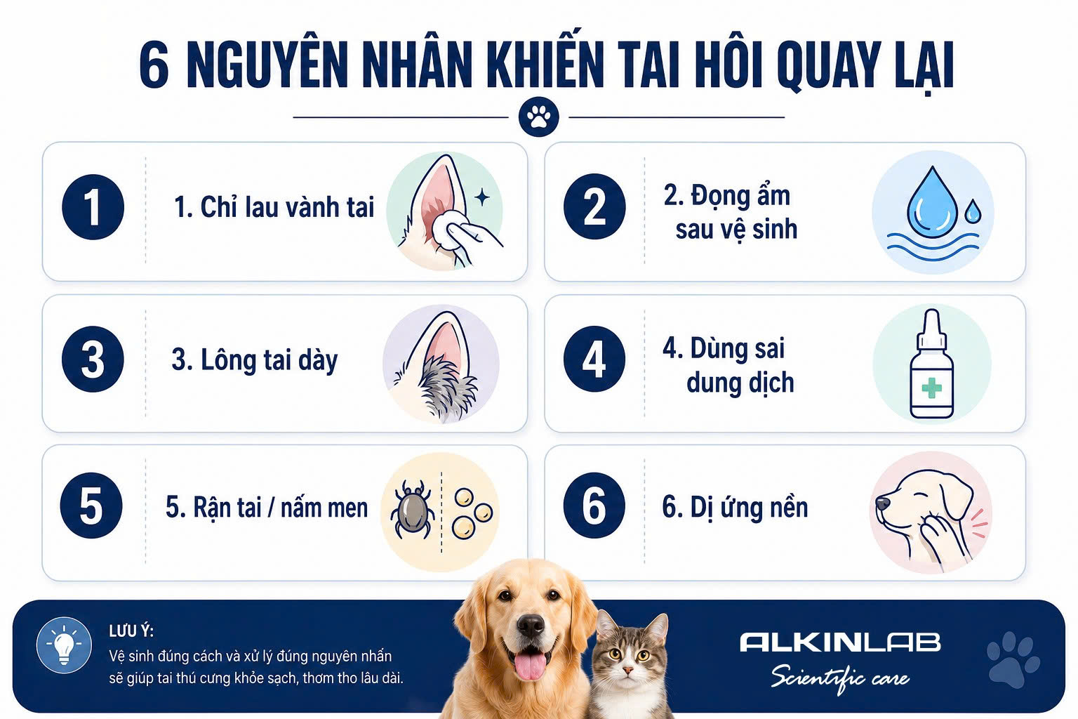Infographic tổng hợp 6 nguyên nhân thường bị bỏ sót khiến tai chó mèo vẫn hôi sau khi vệ sinh.