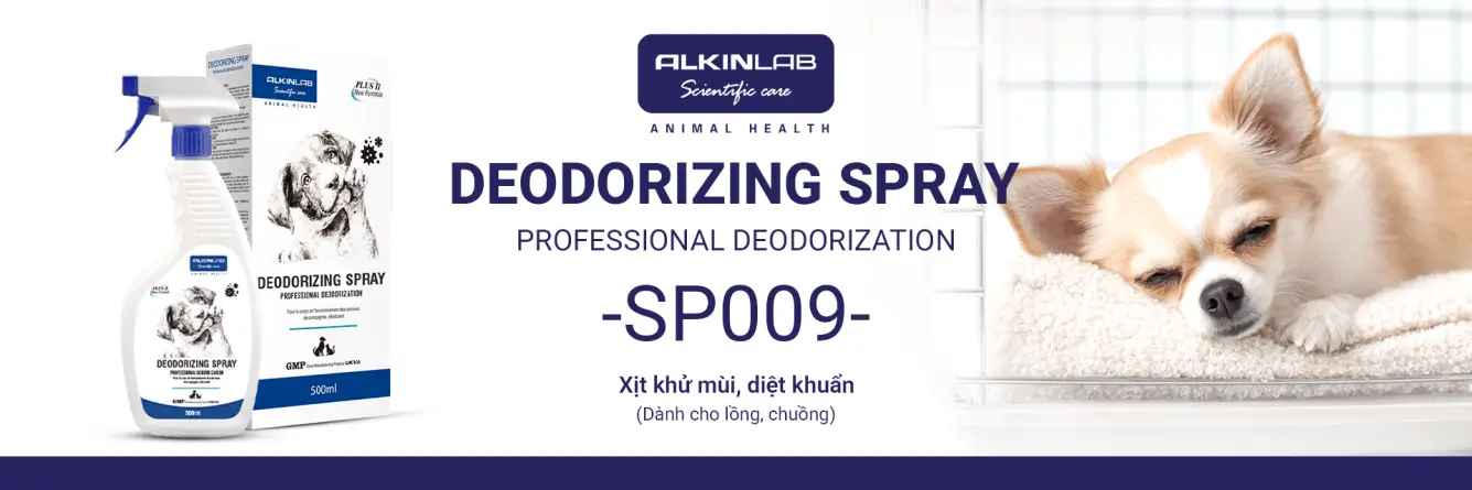 Alkin Banner