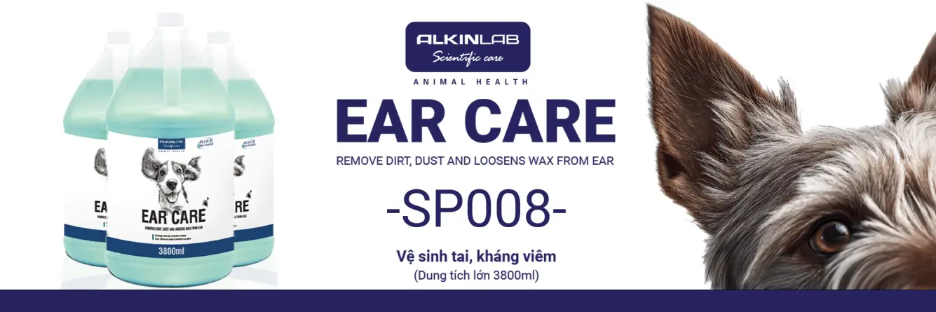 Alkin Banner