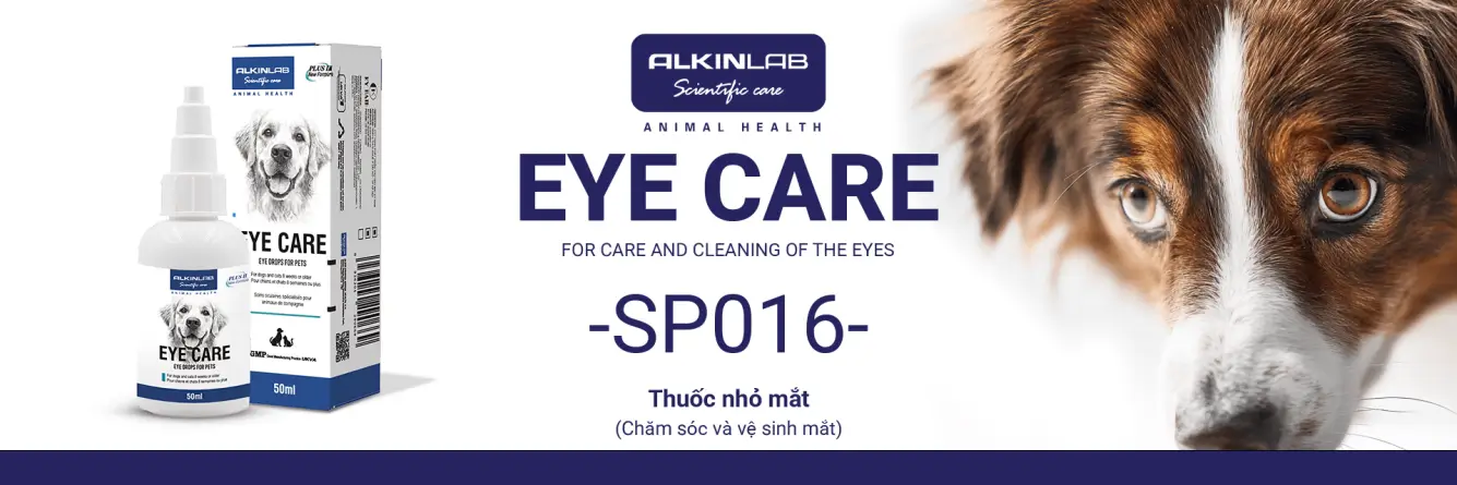 Alkin Banner