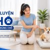 Cách huấn luyện chó đi vệ sinh đúng chỗ tại nhà