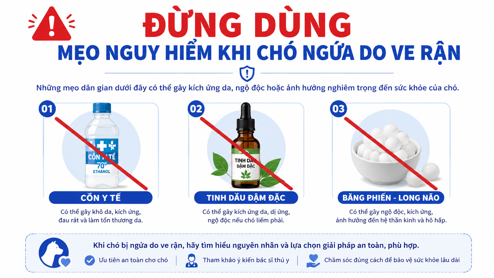 Infographic cảnh báo không dùng cồn, tinh dầu đậm đặc và băng phiến khi chó bị ngứa do ve rận.