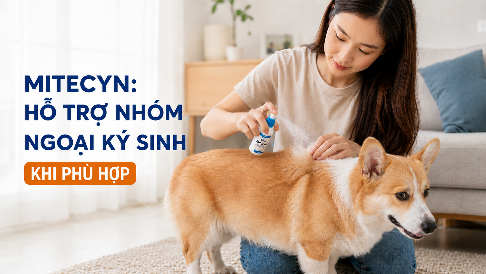 Chủ nuôi xịt ALKIN Mitecyn đúng vùng lông da phù hợp cho chó nghi có ngoại ký sinh.