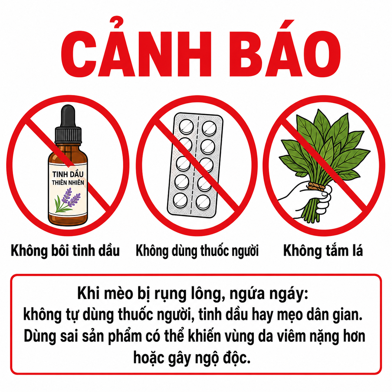 Cảnh báo không sử dụng thuốc người, tinh dầu hay mẹo dân gian khi mèo bị rụng lông và ngứa