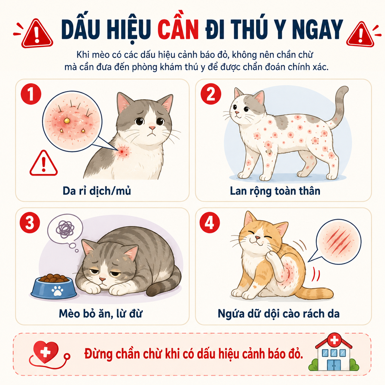 Infographic các dấu hiệu cảnh báo cần đưa mèo đi kiểm tra thú y