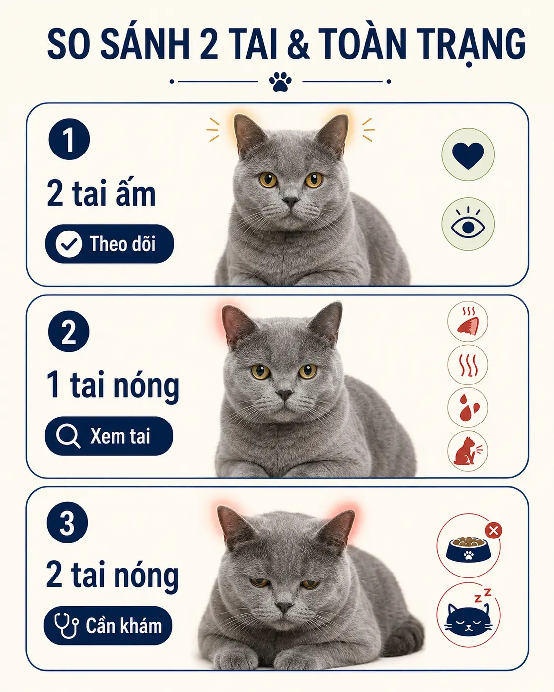 Infographic ba tình huống khi tai mèo nóng dựa trên sự khác nhau giữa hai tai và toàn trạng.