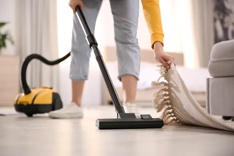 Hút bụi và làm sạch thảm để giảm bọ chét trong môi trường sống