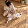 Góc nhìn từ trên cao xuống cô gái Việt Nam đang sấy khô lông cho chú chó Corgi trong phòng khách.